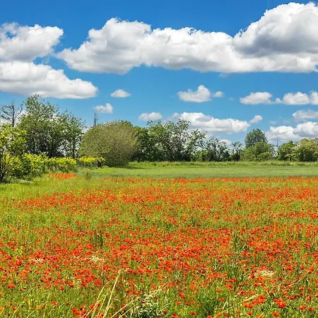 Gospodarstwo agroturystyczne Relais Ca' Maddalena Villafranca di Verona