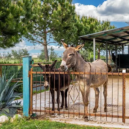 Relais Ca' Maddalena Gospodarstwo agroturystyczne